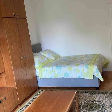 Apartment Spacious - & Peaceful Ljubljana