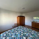 Apartment Spacious - & Peaceful *